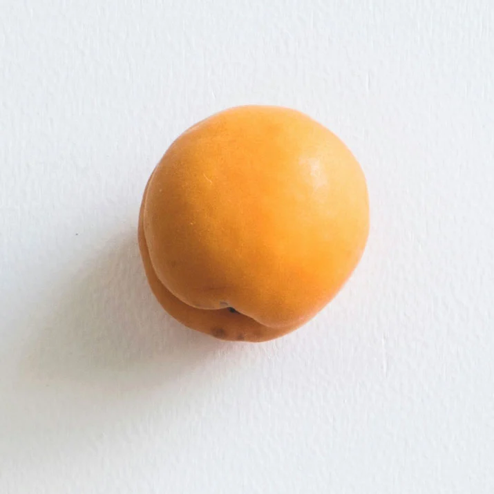 Sorbet morelowy
