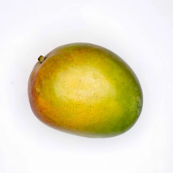 Sorbet mango