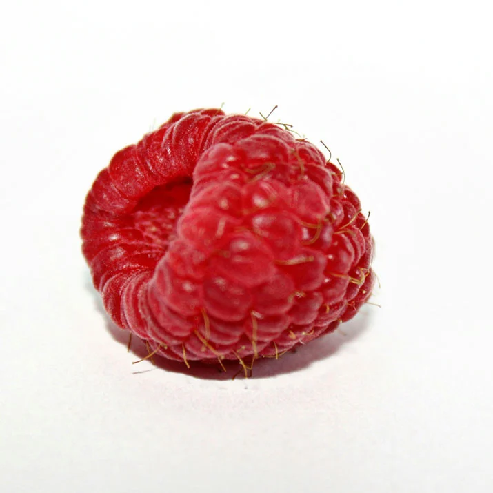 Sorbet Malinowy